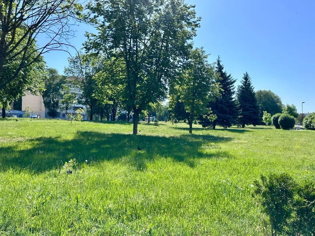 Квартира Уютная квартира в центре города с видом на реку и парк — Минск