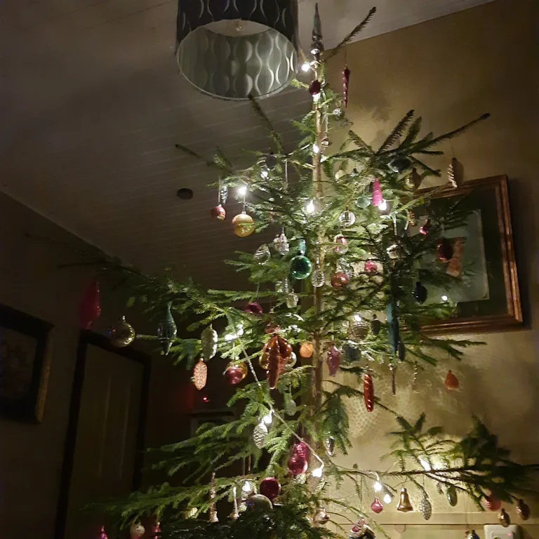 Коттедж Домик под соснами в Свирском — Лодейное Поле