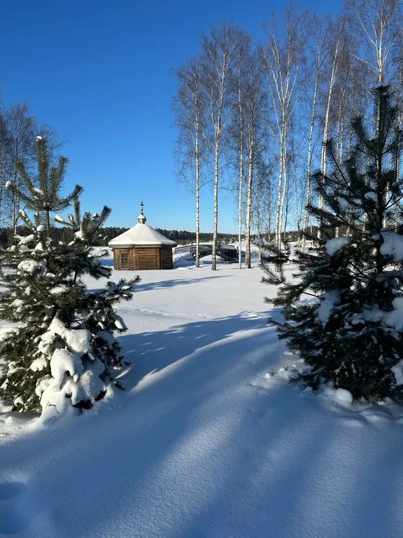 Коттедж в стиле шале в коприно