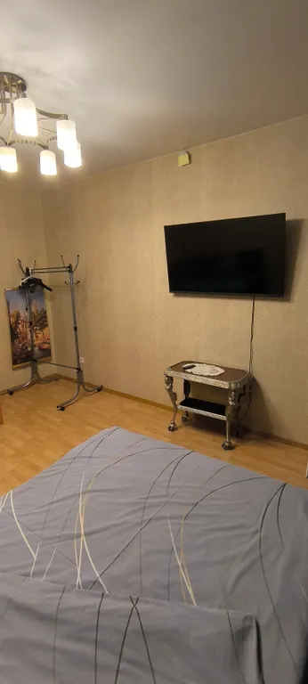 АРЕАЛ-Однокомнатная квартира (Аэропорт, ТЦ Солнечный)