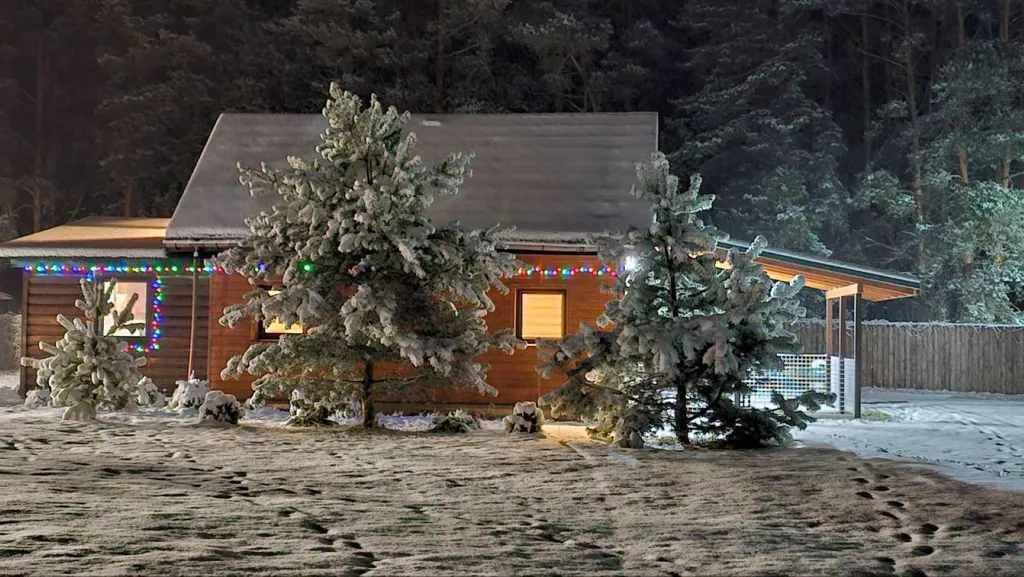 Коттедж Scandy