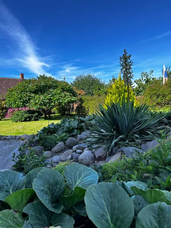 Дом-усадьба с видом на море с баней и беседкой