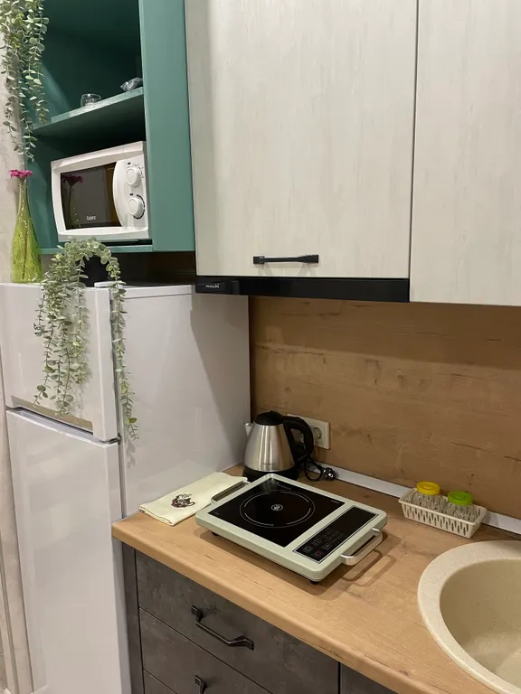 Уютная квартира в центре города Romantic house green