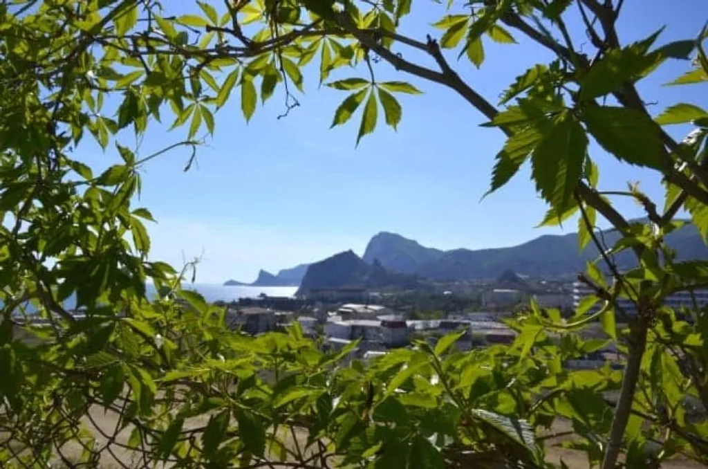 Дом под ключ ,, У Заира 2"