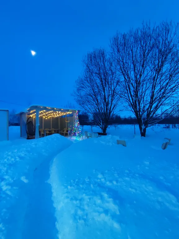 Домик в лесу с собственной горячей купелью 15 минут до центра города