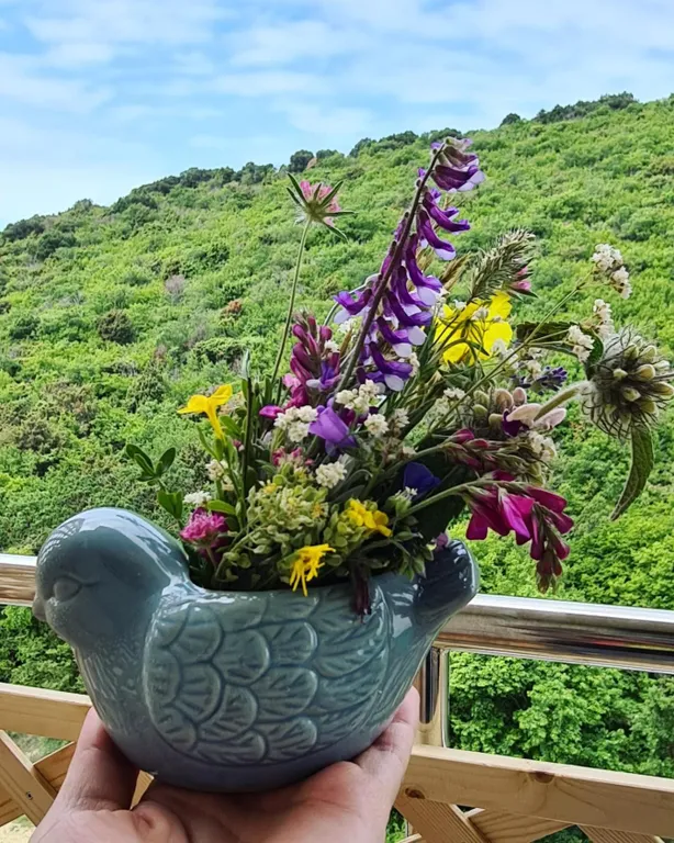 Квартира Квартира с видом на море и заповедный лес — Варваровка