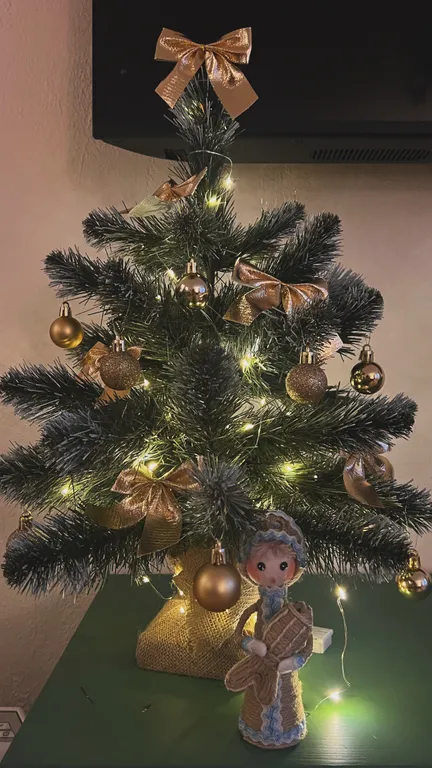 Видовая квартира ХХ век в историческом центре города