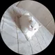 Яна