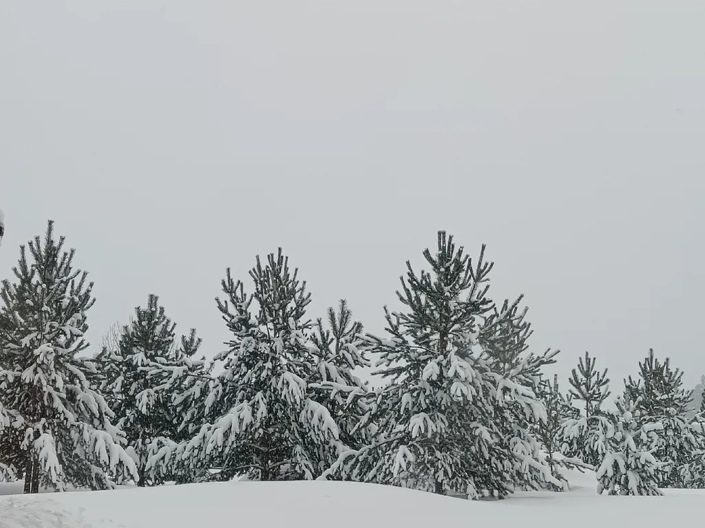 Коттедж Домик в Снетково у озера — Ларионово