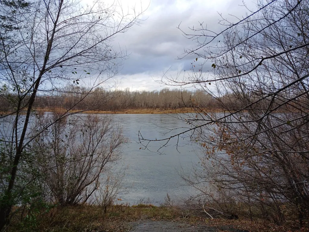 Квартира Уютная квартира у Енисея — Красноярск