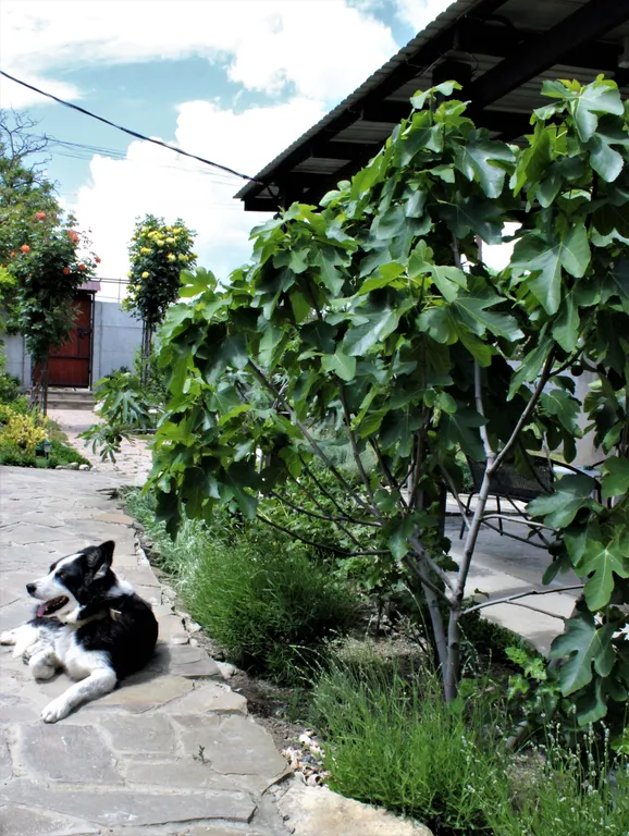 2-этажный 3-комнатный деревянный коттедж