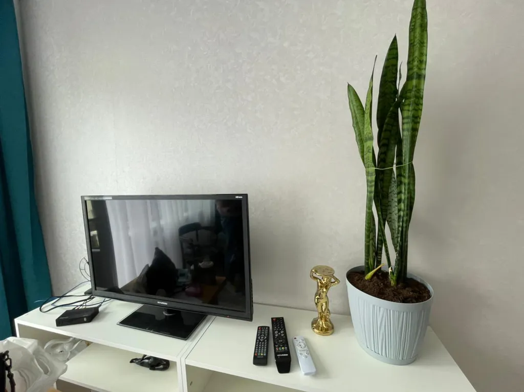 Квартира Уютная светлая и комфортабельная квартира в центре — Калининград