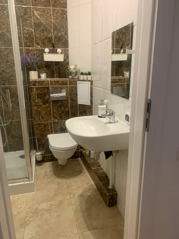 Квартира Уютная квартира в центре города с лесным массивом . — Светлогорск