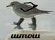 Георгий