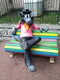 Михаил