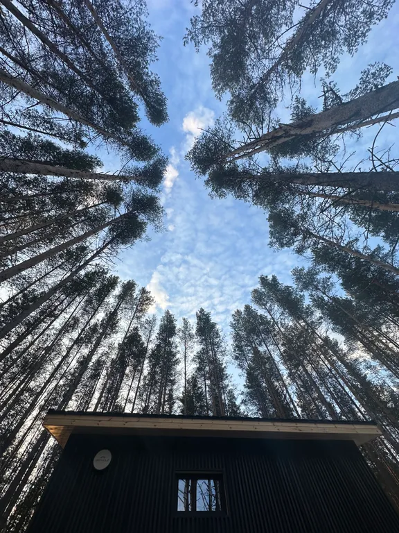 Домик в лесу с панорамными окнами