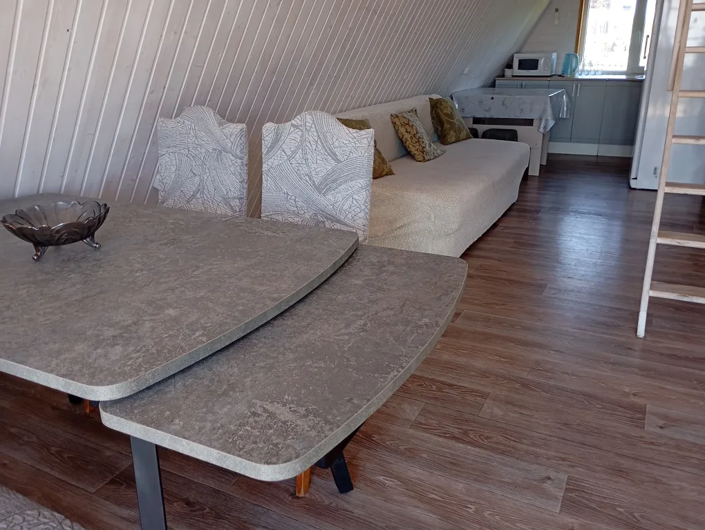 Дом за Дериглазова с баней и чаном