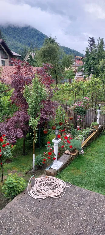 Гостевой дом в сердце Красной поляны