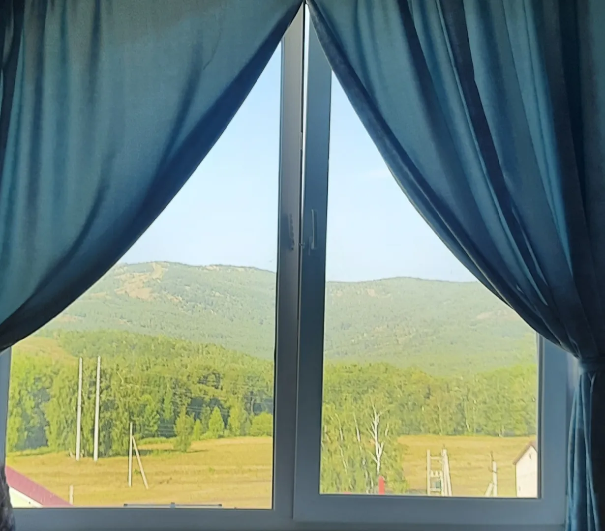 Лето из окна.