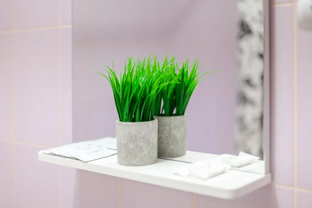 Студия с видом на Волгу