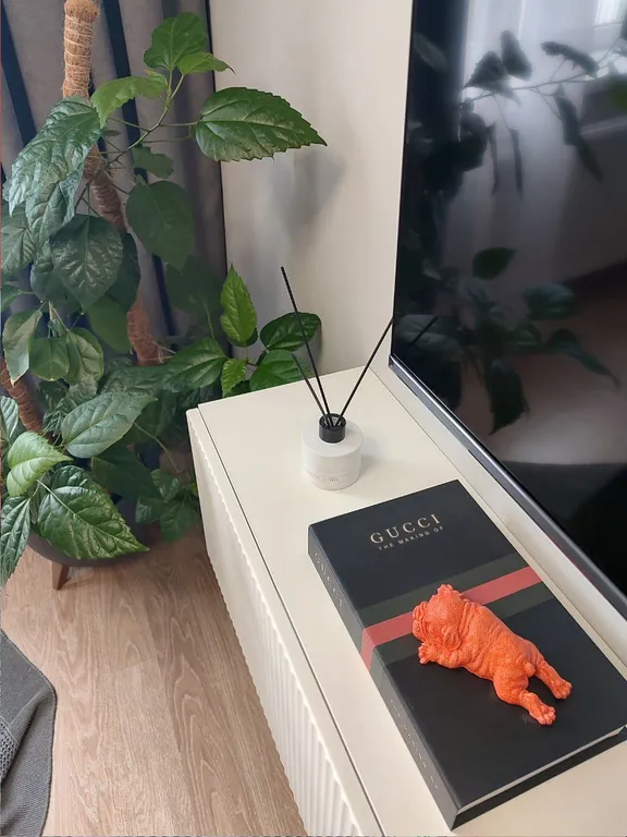 Современный минимализм для работы и отдыха