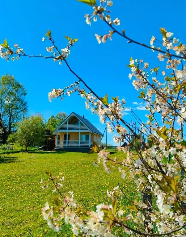Дом в тихой деревне у озера