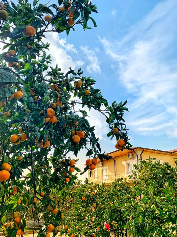 Домик 1-комнатный 3-местный