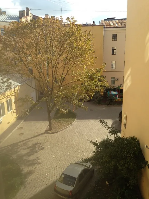 Студия у Эрмитажа