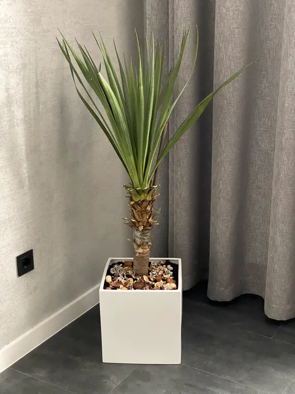 Квартира с отдельным входом