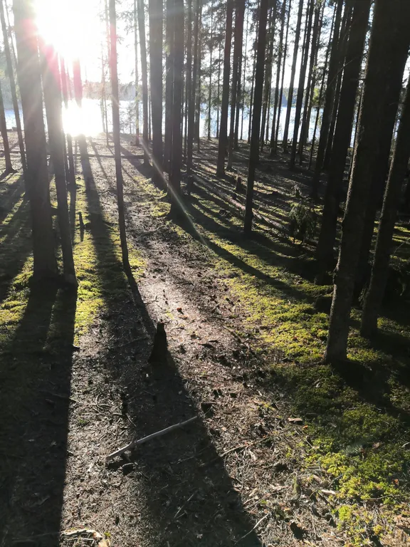 Дом на Селигере