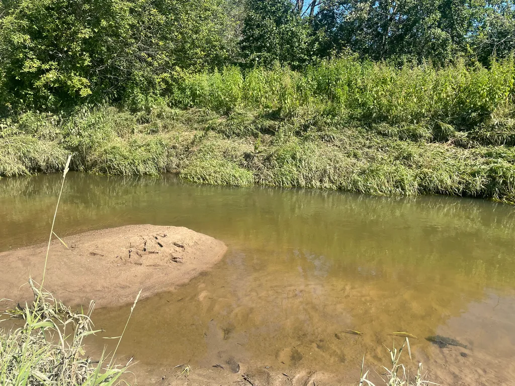 Ранчо «Альпика»