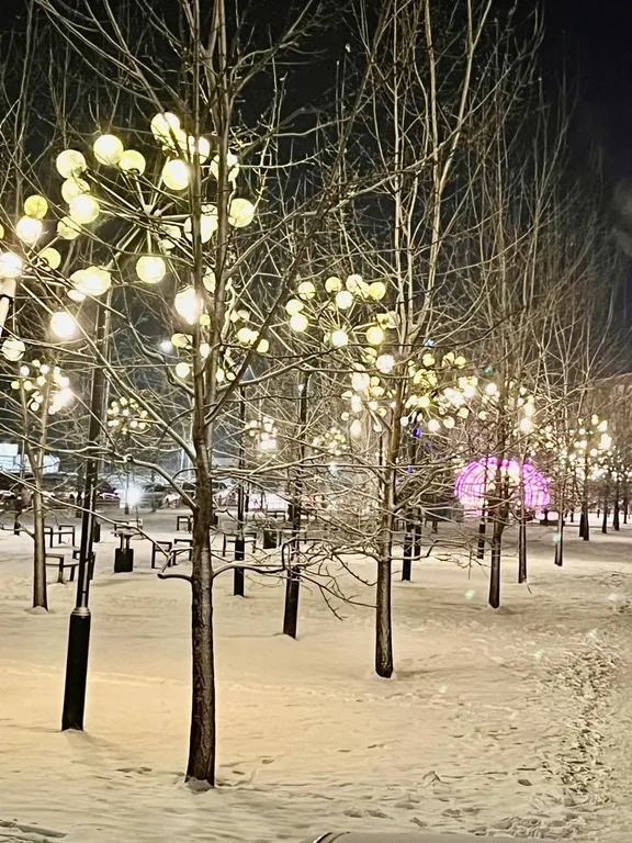 Квартира с шикарным видом