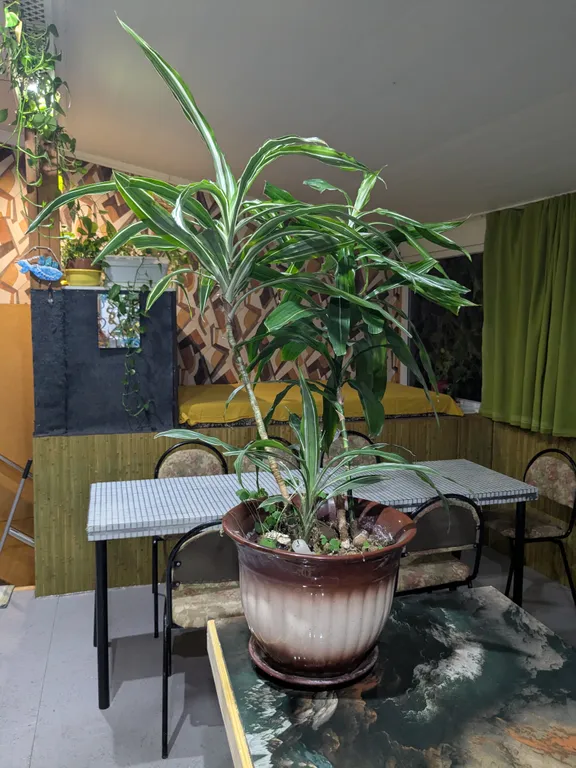 Квартира Комната — аренда посуточно в Сочи