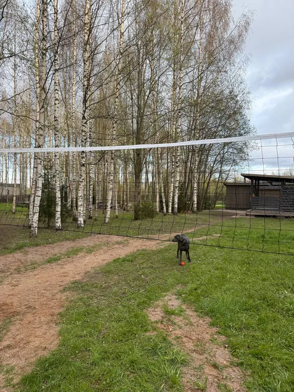 Дом и юрта на Валдае