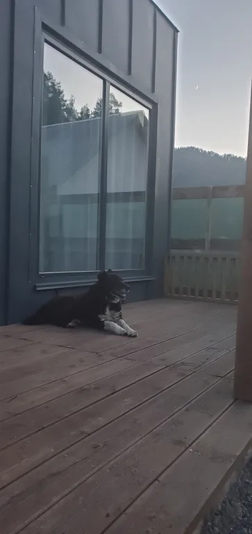 Коттедж Дом почти двухэтажный на опушке реликтового бора с видом на горы — Аскат