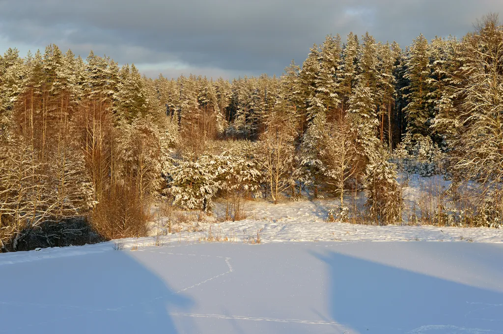 Агроусадьба у Топтыгина