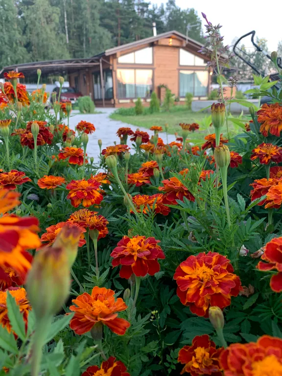 Коттедж Коттедж с камином, финская сауна русская баня на дровах — Ломоносов