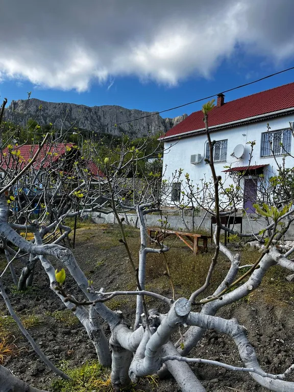 Дом с видом на море