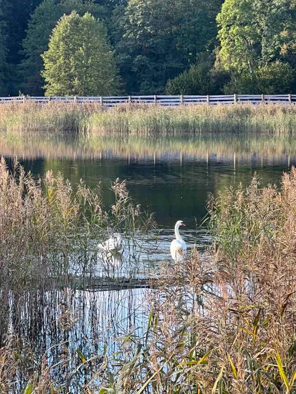 Гостевой Дом 14 в Беловежской пуще на территории Национального парка