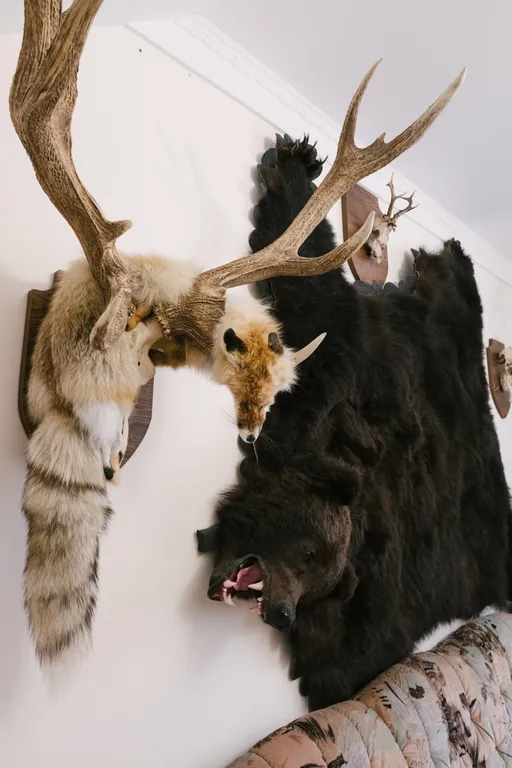 Домик у моря на первой линии