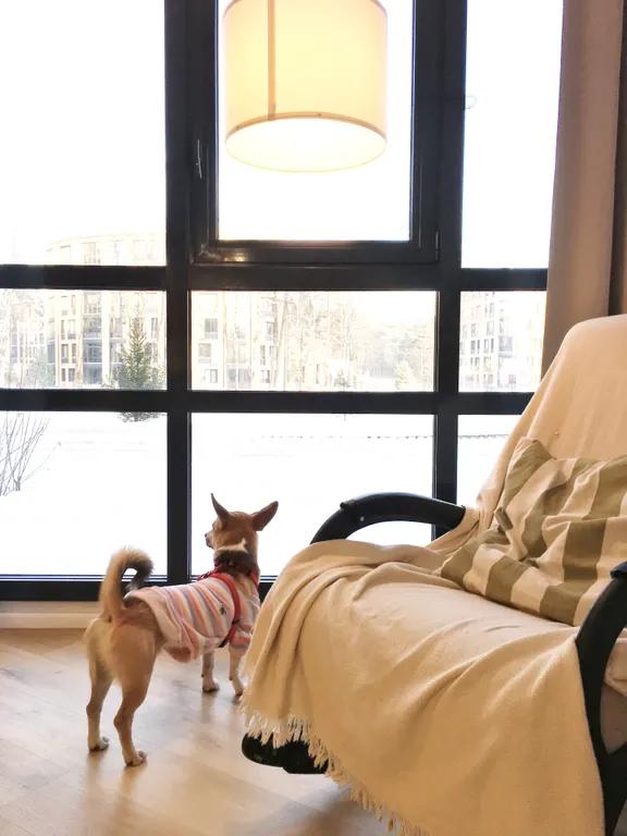 Апартаменты прямо на море, ЖК Светлый мир внутри