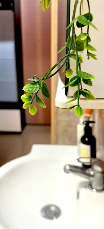 Квартира Просторные апартаменты в центре города — Сочи