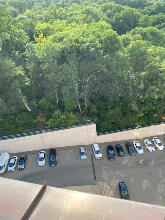 Люкс в центре с видом на лес