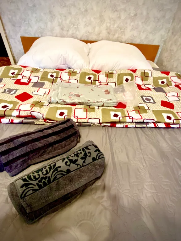 Уютная по-домашнему квартира возле Планеты