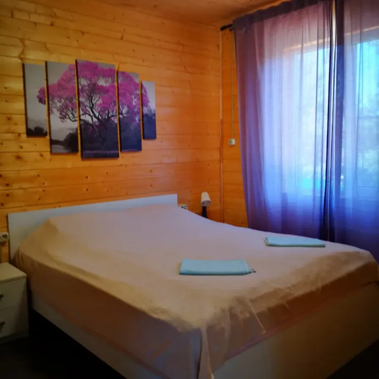 Домик у Селигера