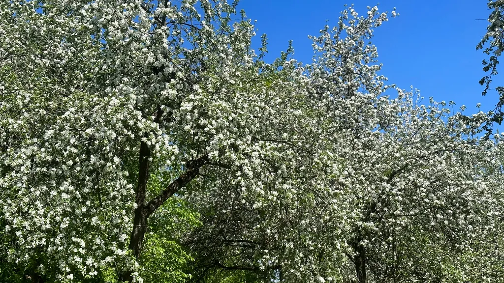 Коттедж Коттедж Шале в писательском Переделкино — Москва