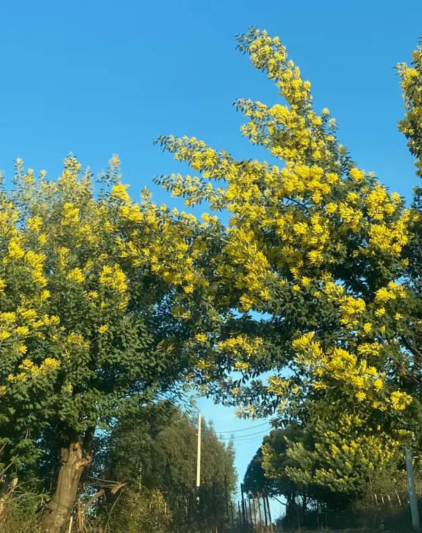 Уютный дом с садом и прекрасным видом на горы и море