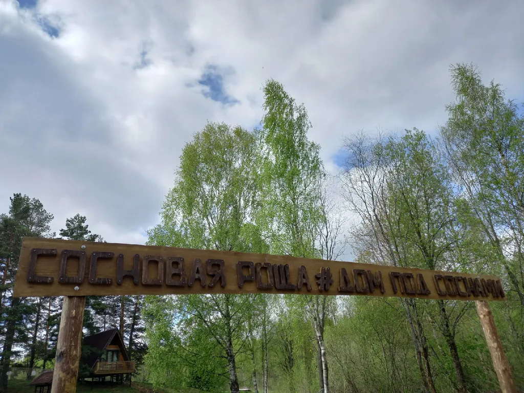 Дом под соснами