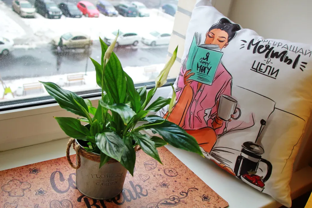 Квартира Квартира Комфорт и уют в Песочном. — Песочный