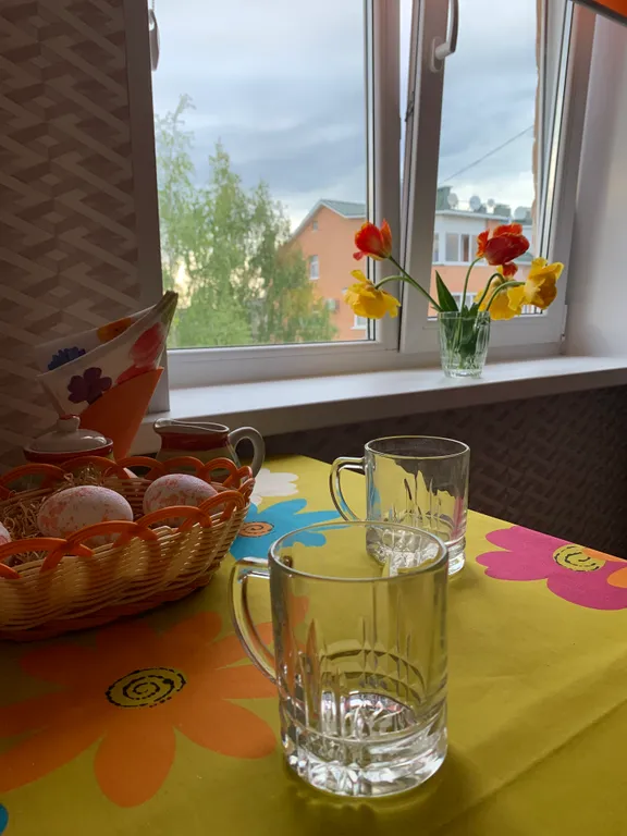 Уютная квартира в самом центре столицы Карелии